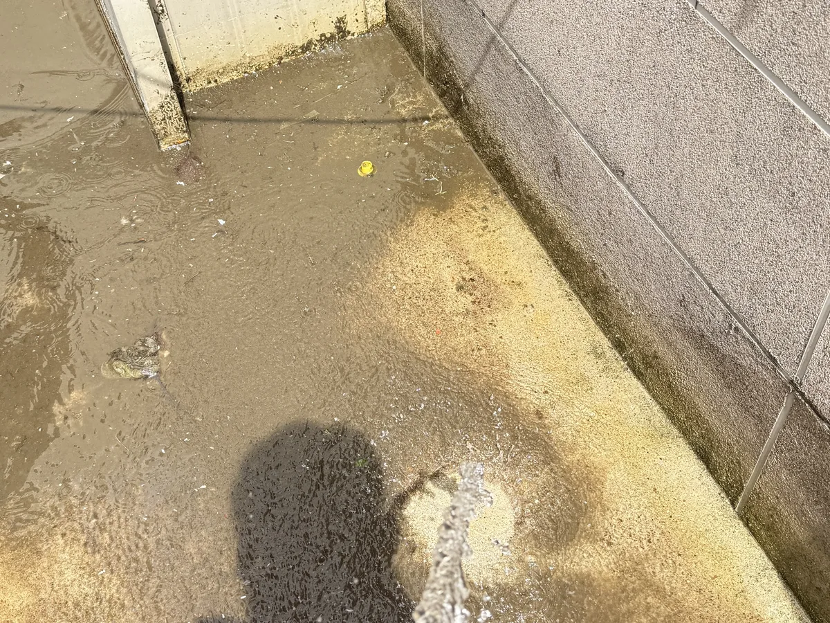 창녕군 계성면 침수 현장 복도·대기 동선 야간 위생청소 사례 - 행진크린
